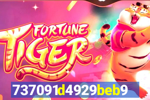 plataforma bet917.com