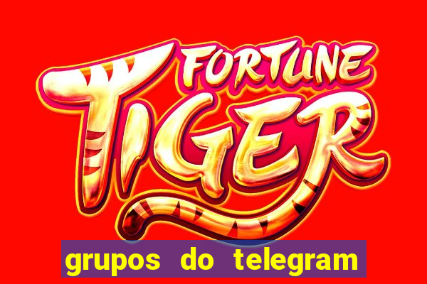grupos do telegram mais 18