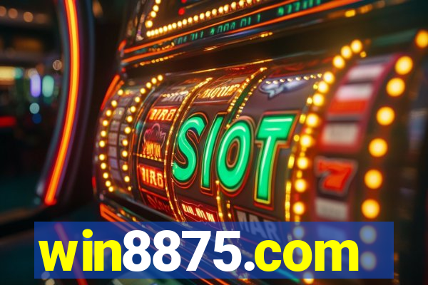 win8875.com