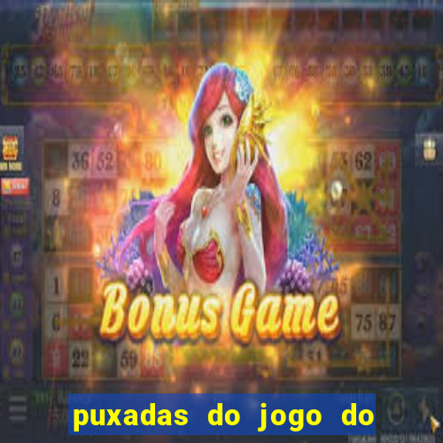 puxadas do jogo do bicho sueli