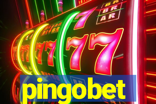 pingobet