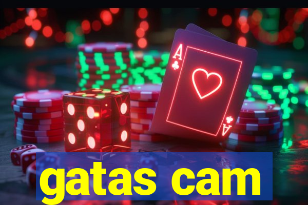 gatas cam