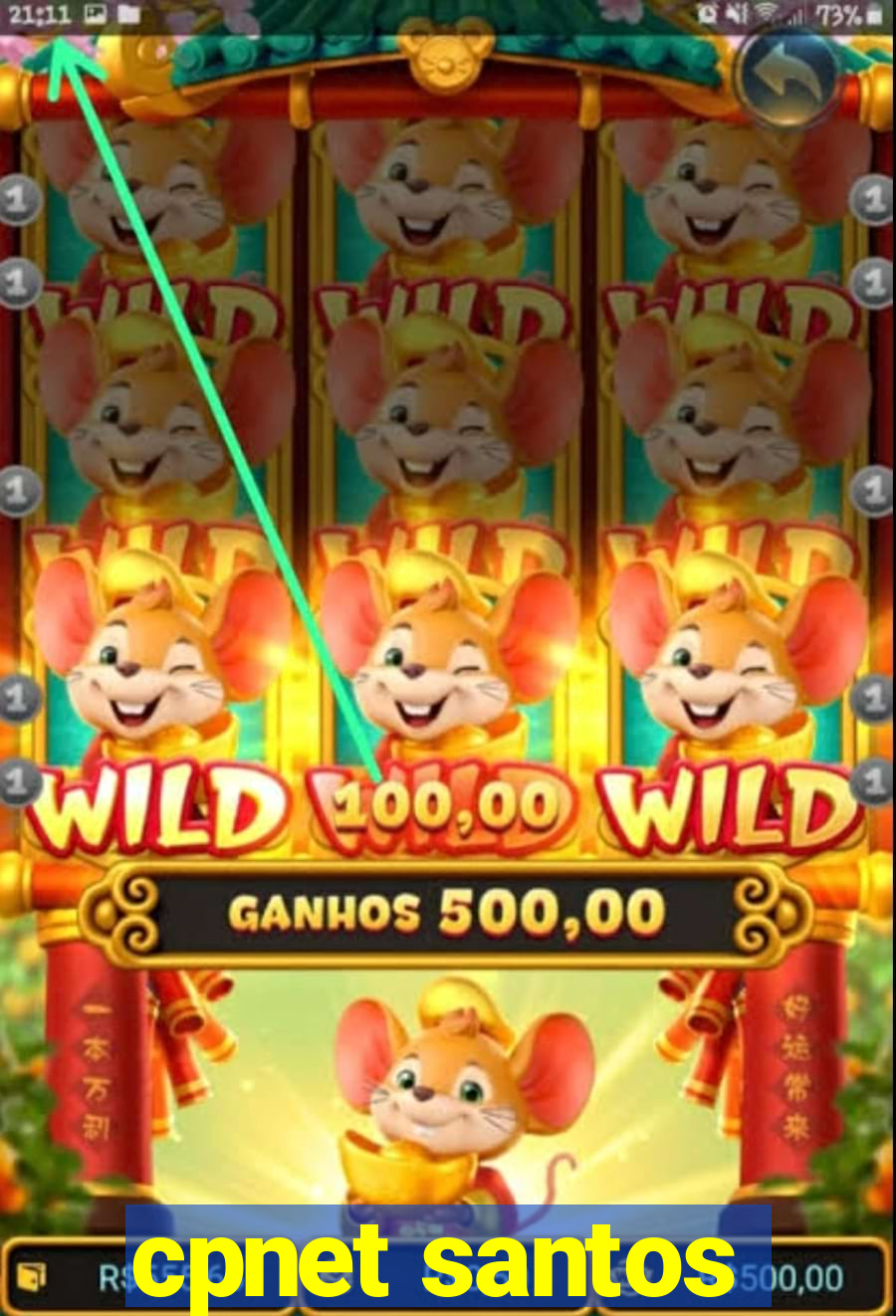 cpnet santos