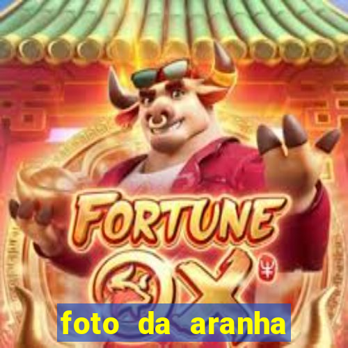 foto da aranha mais feia do mundo