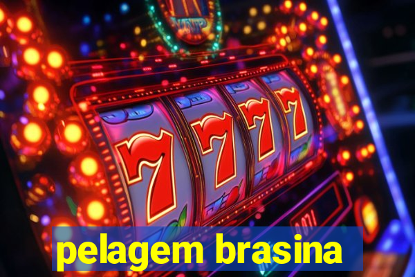 pelagem brasina
