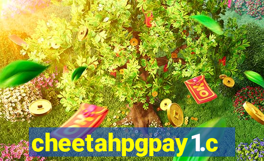 cheetahpgpay1.com