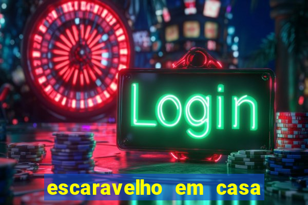 escaravelho em casa significado espiritual