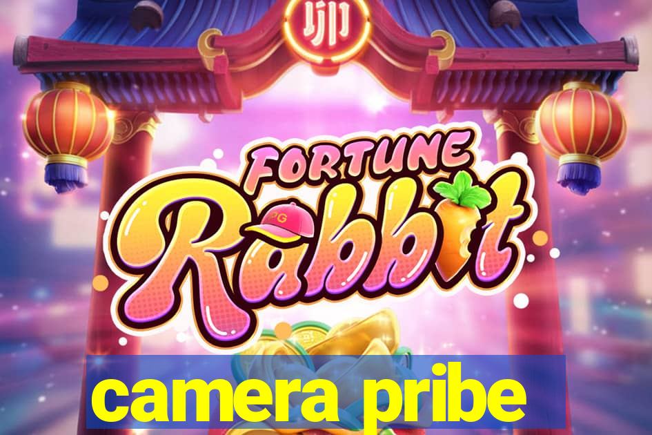 camera pribe