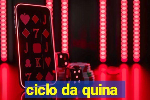 ciclo da quina