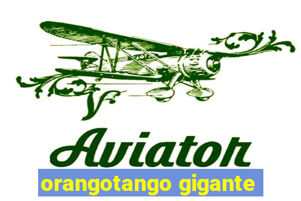 orangotango gigante