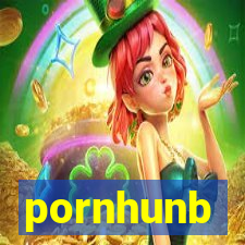 pornhunb