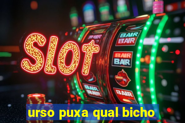 urso puxa qual bicho