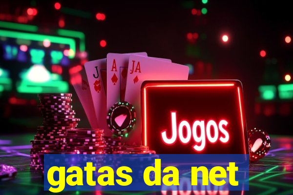 gatas da net