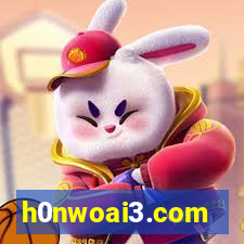 h0nwoai3.com