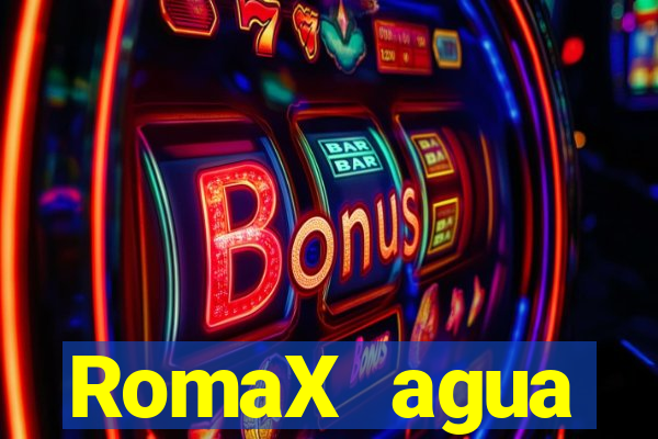 RomaX agua sanitaria fispq agua sanitaria romax