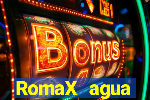 RomaX agua sanitaria fispq agua sanitaria romax