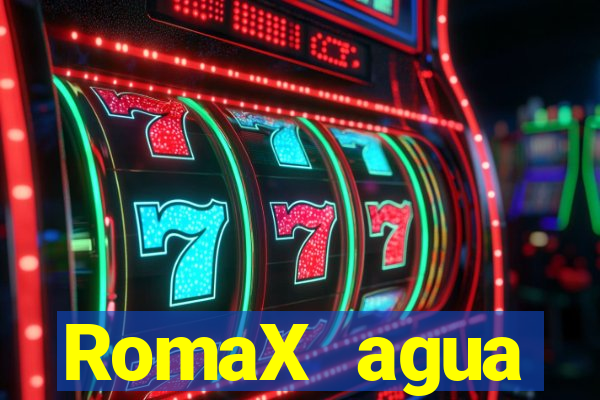 RomaX agua sanitaria fispq agua sanitaria romax