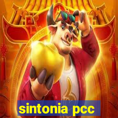 sintonia pcc