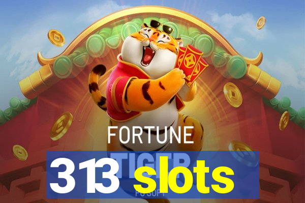 313 slots