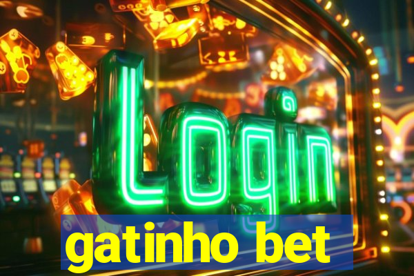 gatinho bet