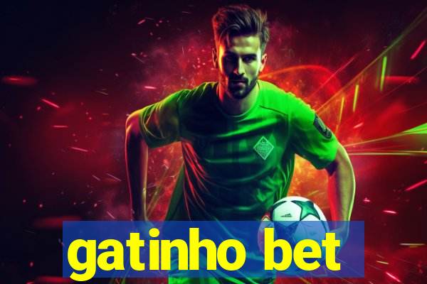 gatinho bet
