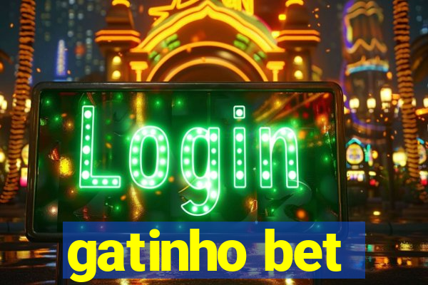 gatinho bet