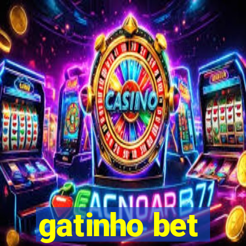 gatinho bet