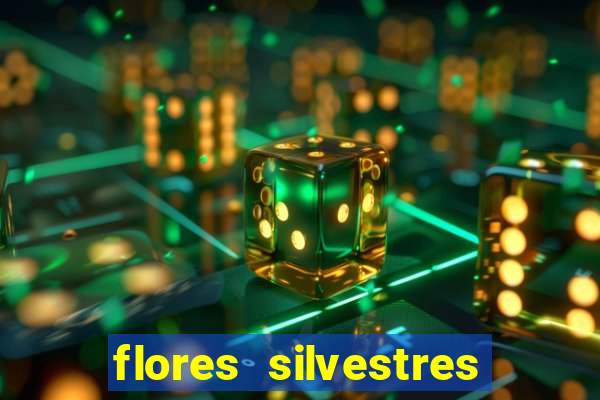 flores silvestres desbravadores desbravadores 25 flores silvestres e seus nomes