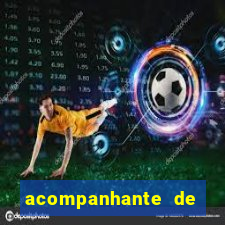 acompanhante de porto feliz