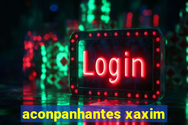 aconpanhantes xaxim