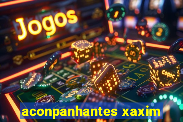 aconpanhantes xaxim