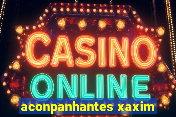 aconpanhantes xaxim