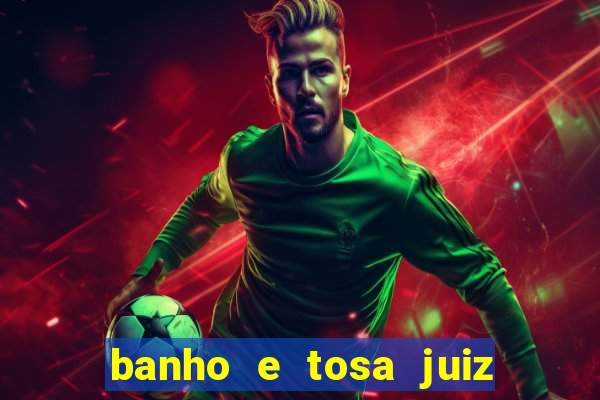 banho e tosa juiz de fora