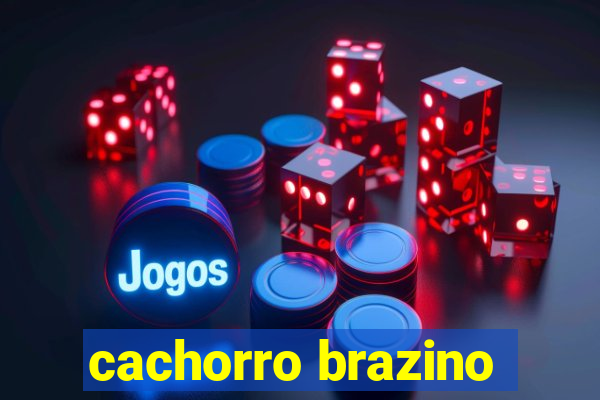cachorro brazino