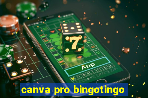 canva pro bingotingo