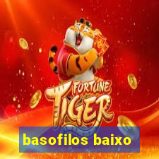 basofilos baixo