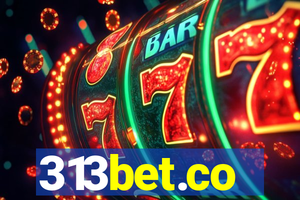 313bet.co