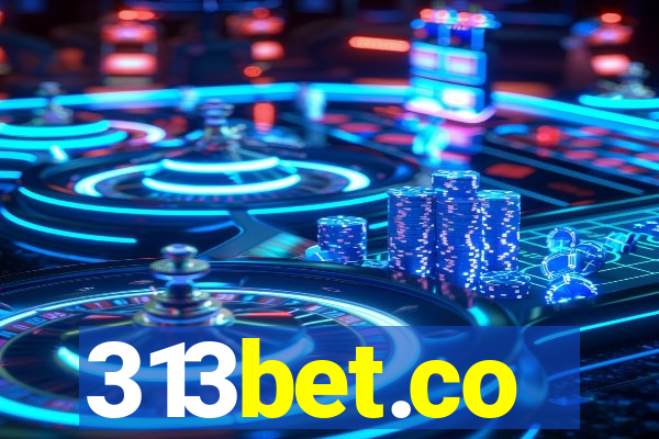 313bet.co