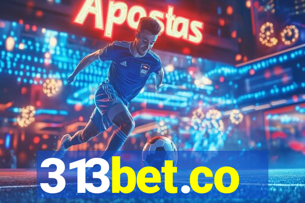 313bet.co