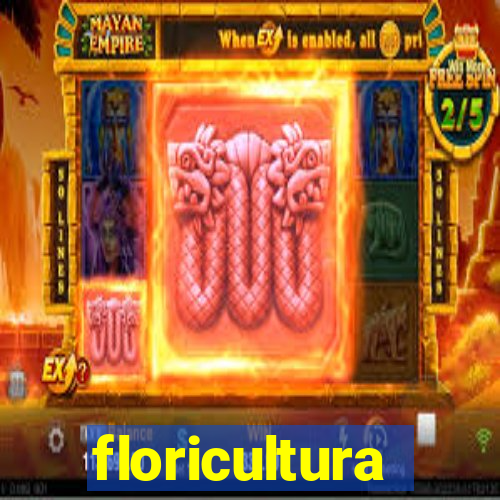 floricultura juazeiro bahia
