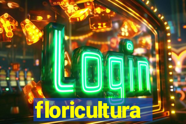 floricultura juazeiro bahia