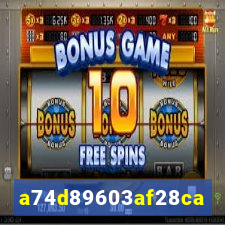 648 bet