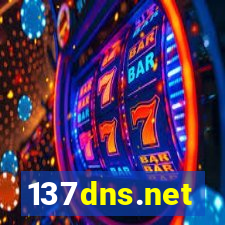137dns.net