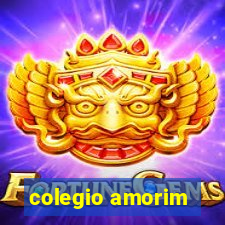 colegio amorim