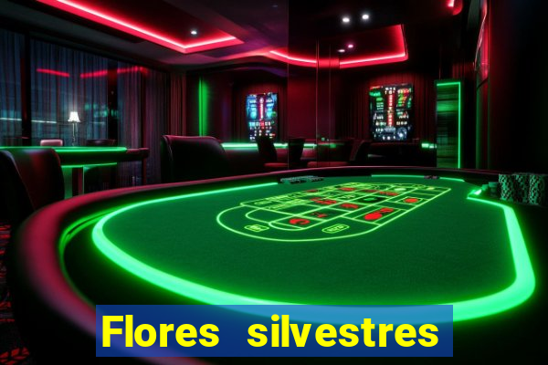 Flores silvestres brasileiras brasileiras flores silvestres nomes e imagens