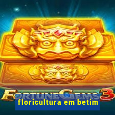 floricultura em betim