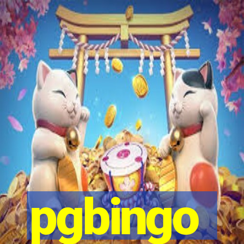 pgbingo