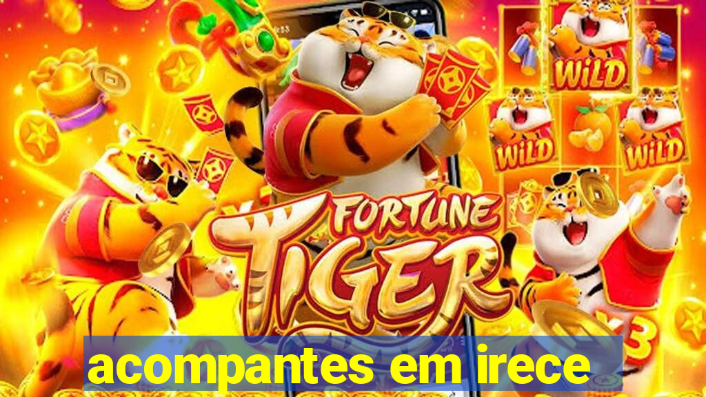 acompantes em irece