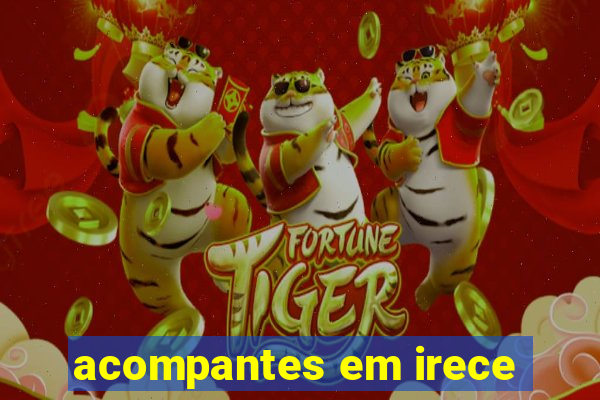 acompantes em irece