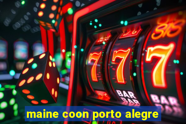 maine coon porto alegre